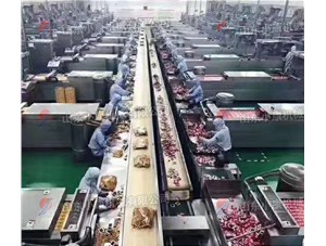 選擇真空包裝機要關注哪幾點？